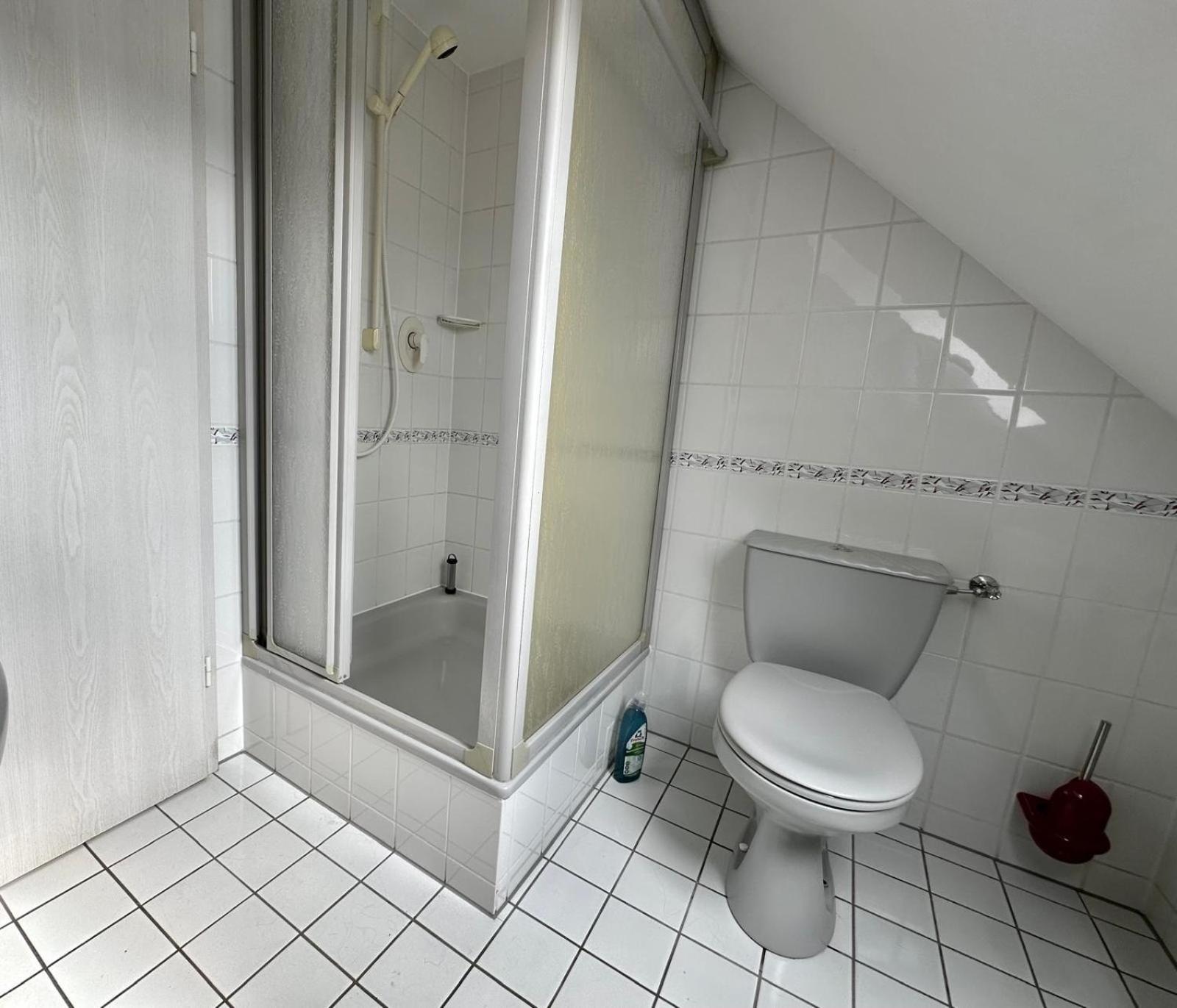 Ferienwohnung Sonnenschein Mit Kleinem Bauernhof Тале Екстер'єр фото